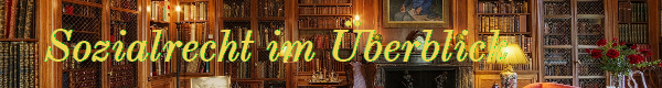 Sozialrecht im Überblick